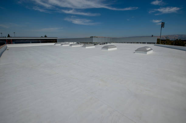 Steel Roofing in Mont Belvieu, TX