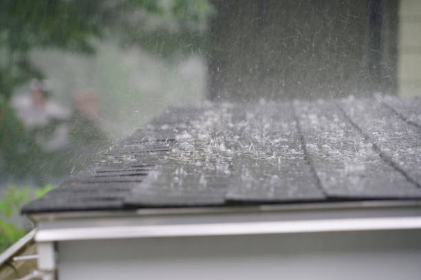 Best Roof Moss and Algae Removal  in Mont Belvieu, TX
